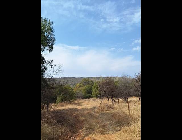 272HA FARM FOR SALE IN KOSTER